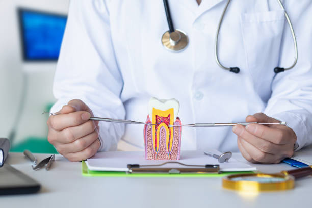 Best Emergency Dental Extractions in Whippany, NJ